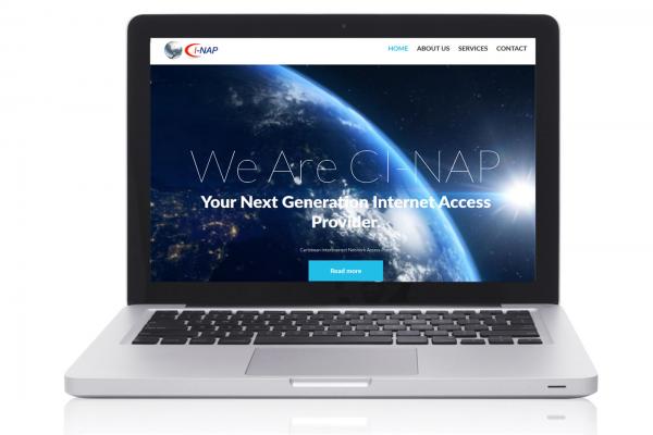 CI-NAP Website
